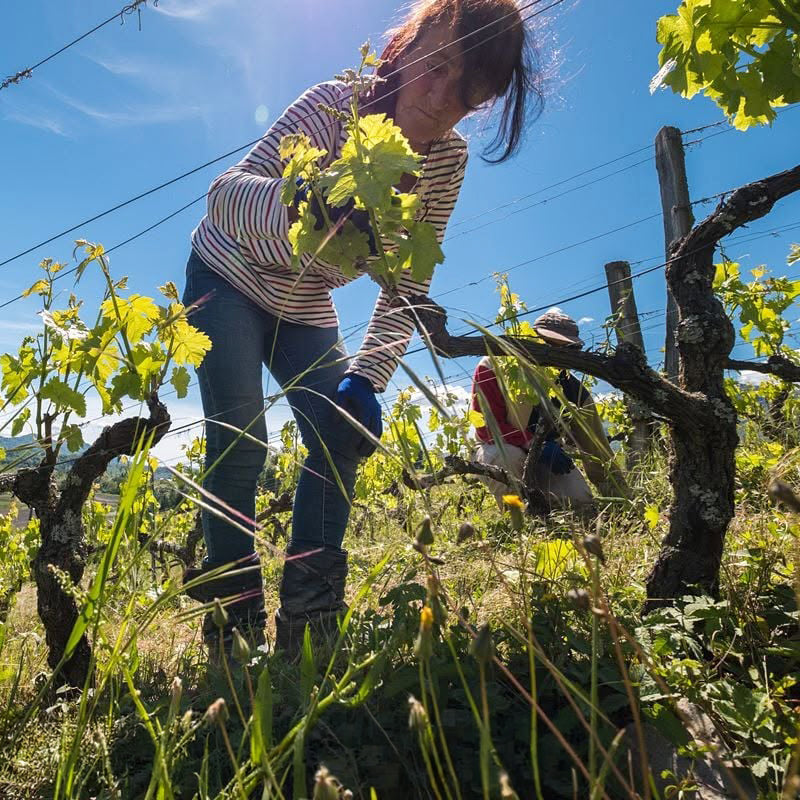 Crac Boum’Bu blanc (AOC Savoie)
