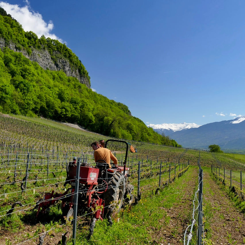 Crac Boum’Bu rouge (AOC Savoie)