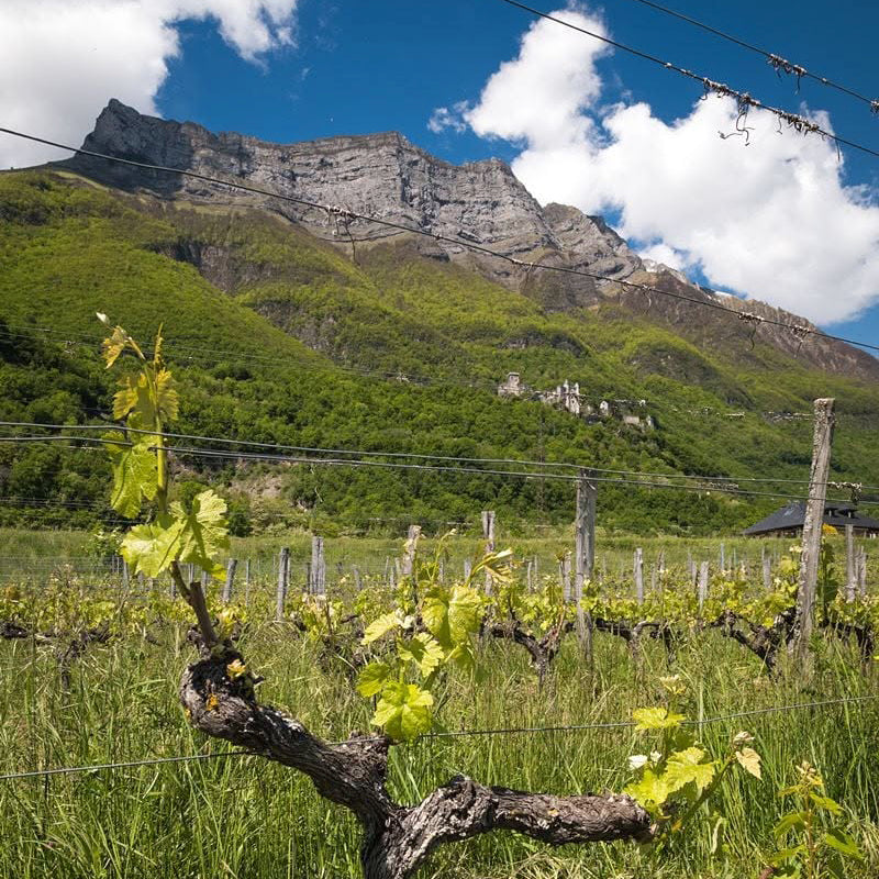 Crac Boum’Bu blanc (AOC Savoie)