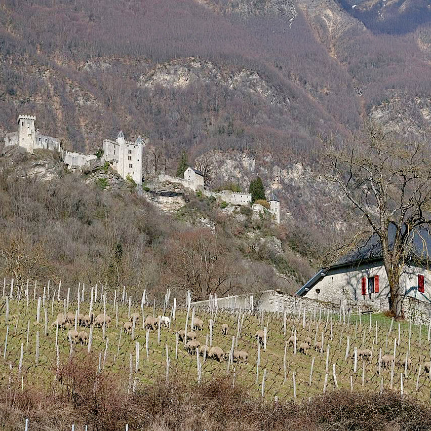Crac Boum’Bu blanc (AOC Savoie)