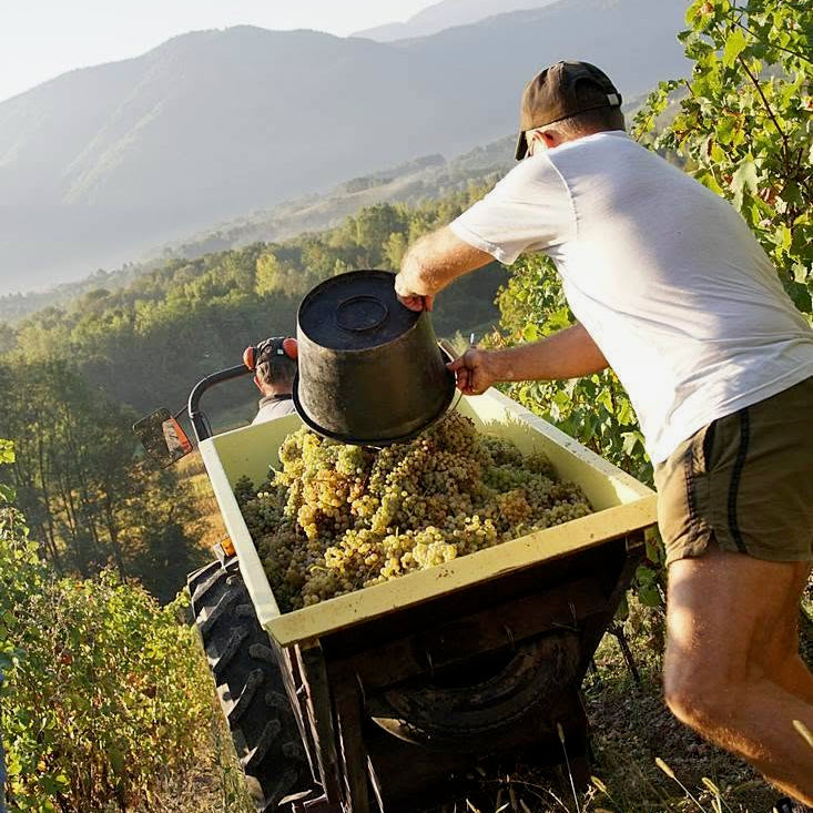 Crac Boum’Bu blanc (AOC Savoie)