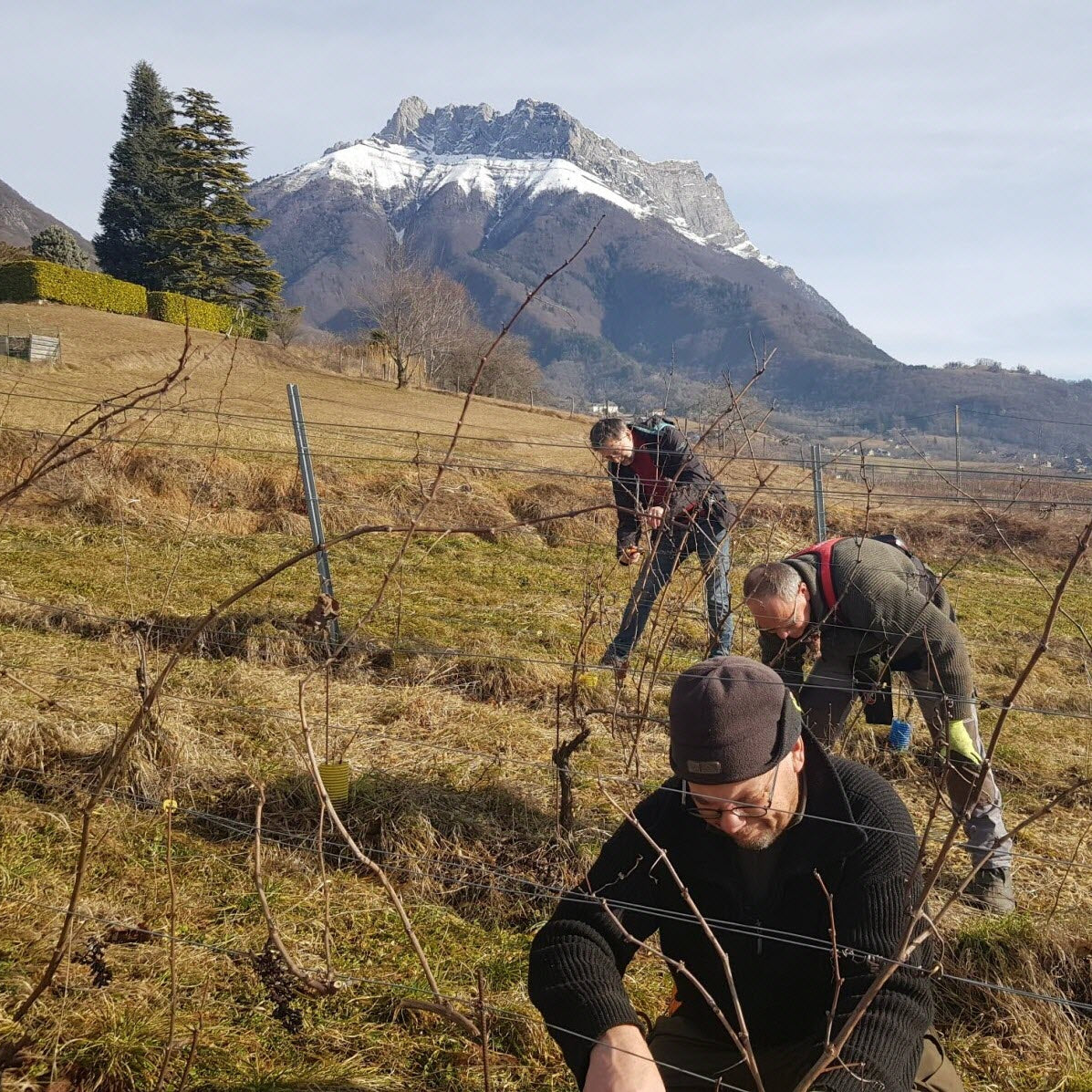 Crac Boum’Bu blanc (AOC Savoie)