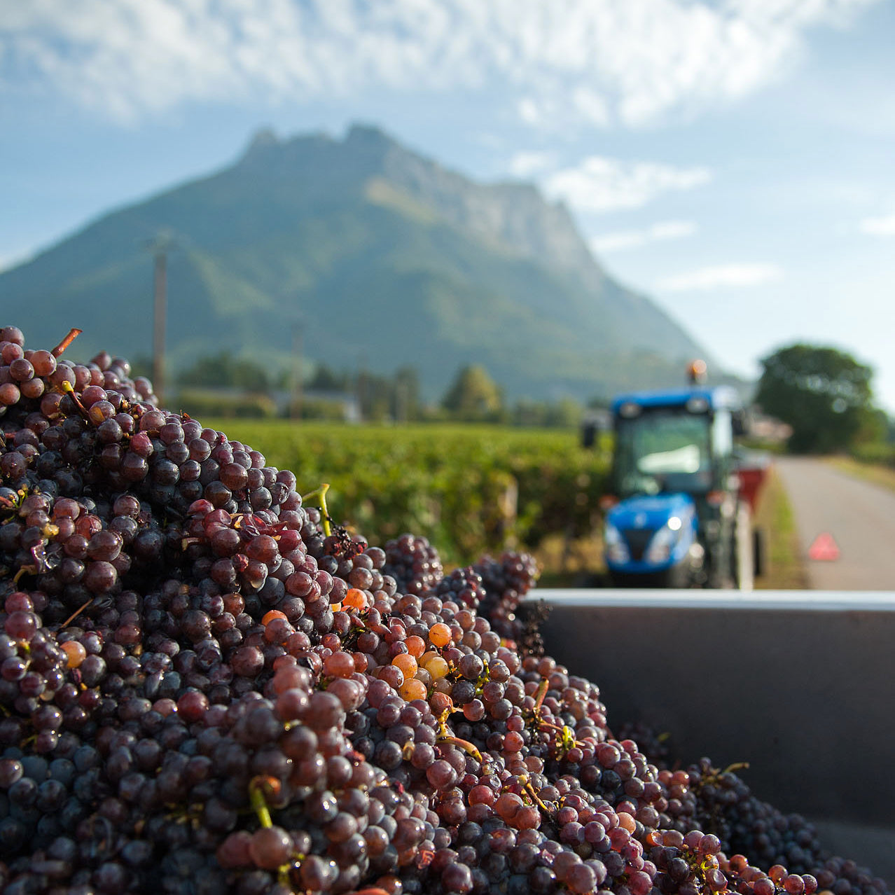 Crac Boum’Bu rouge (AOC Savoie)