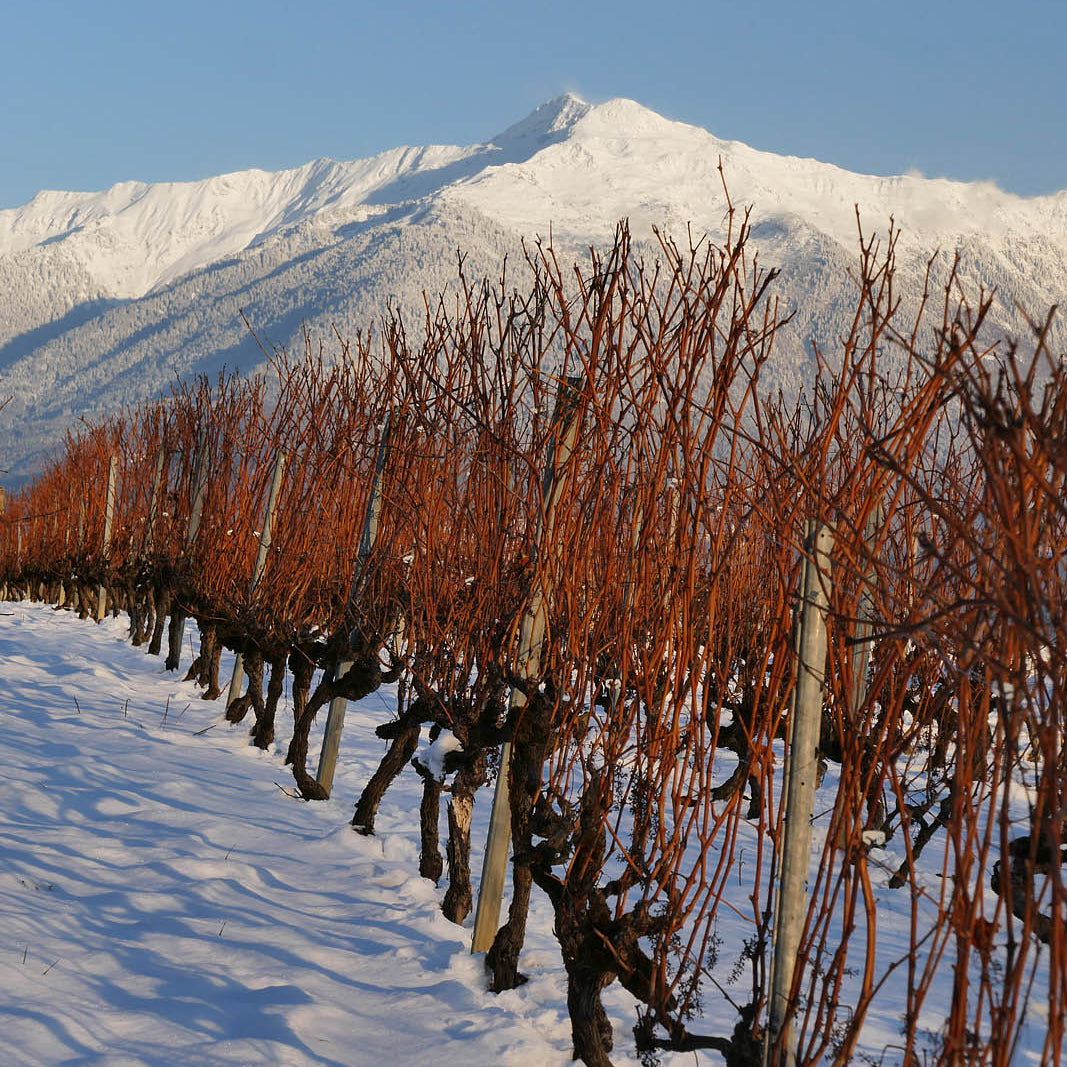 Crac Boum’Bu rouge (AOC Savoie)