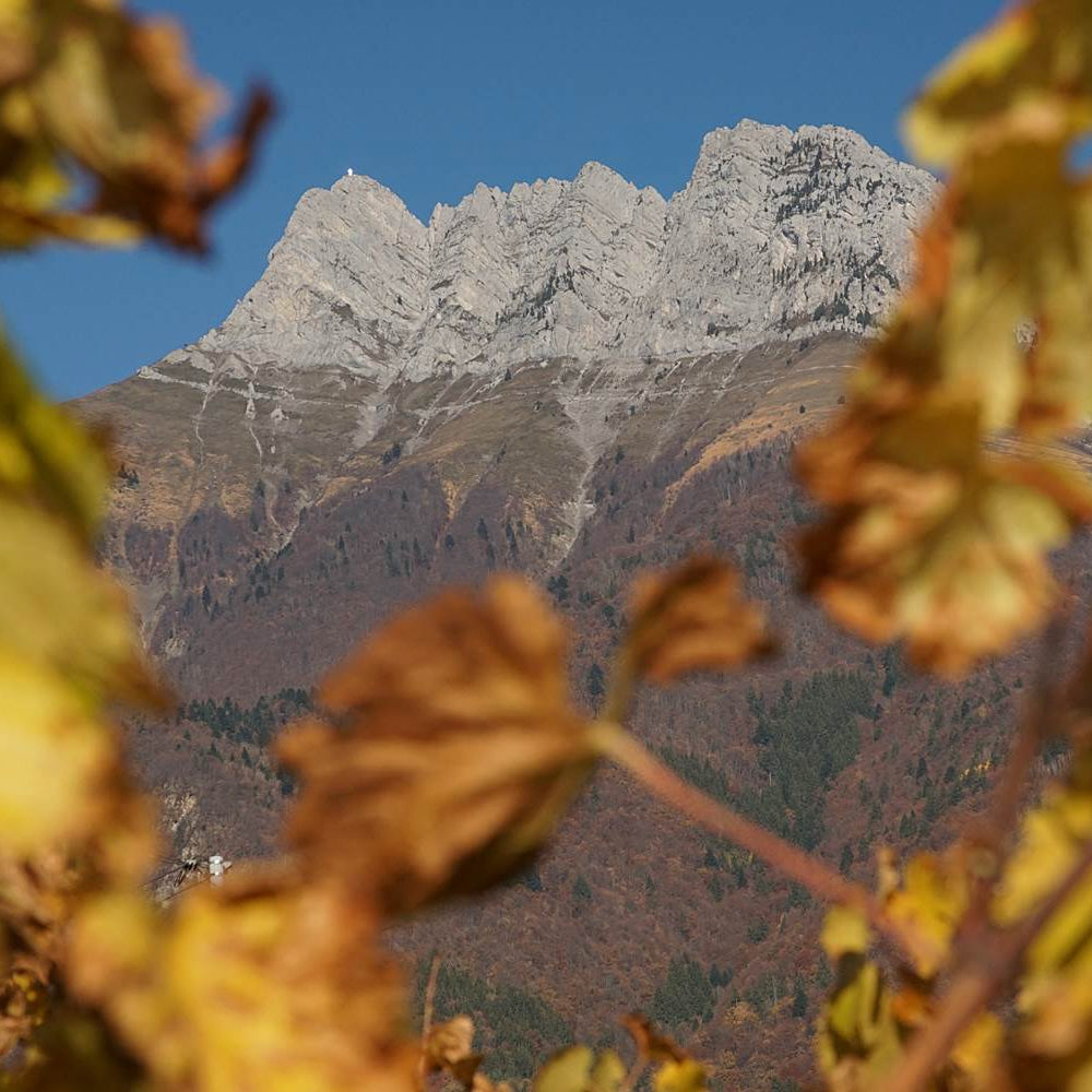 Crac Boum’Bu rouge (AOC Savoie)