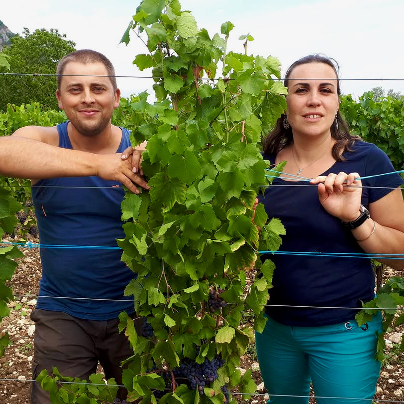 Chardonnay (AOC Bugey)