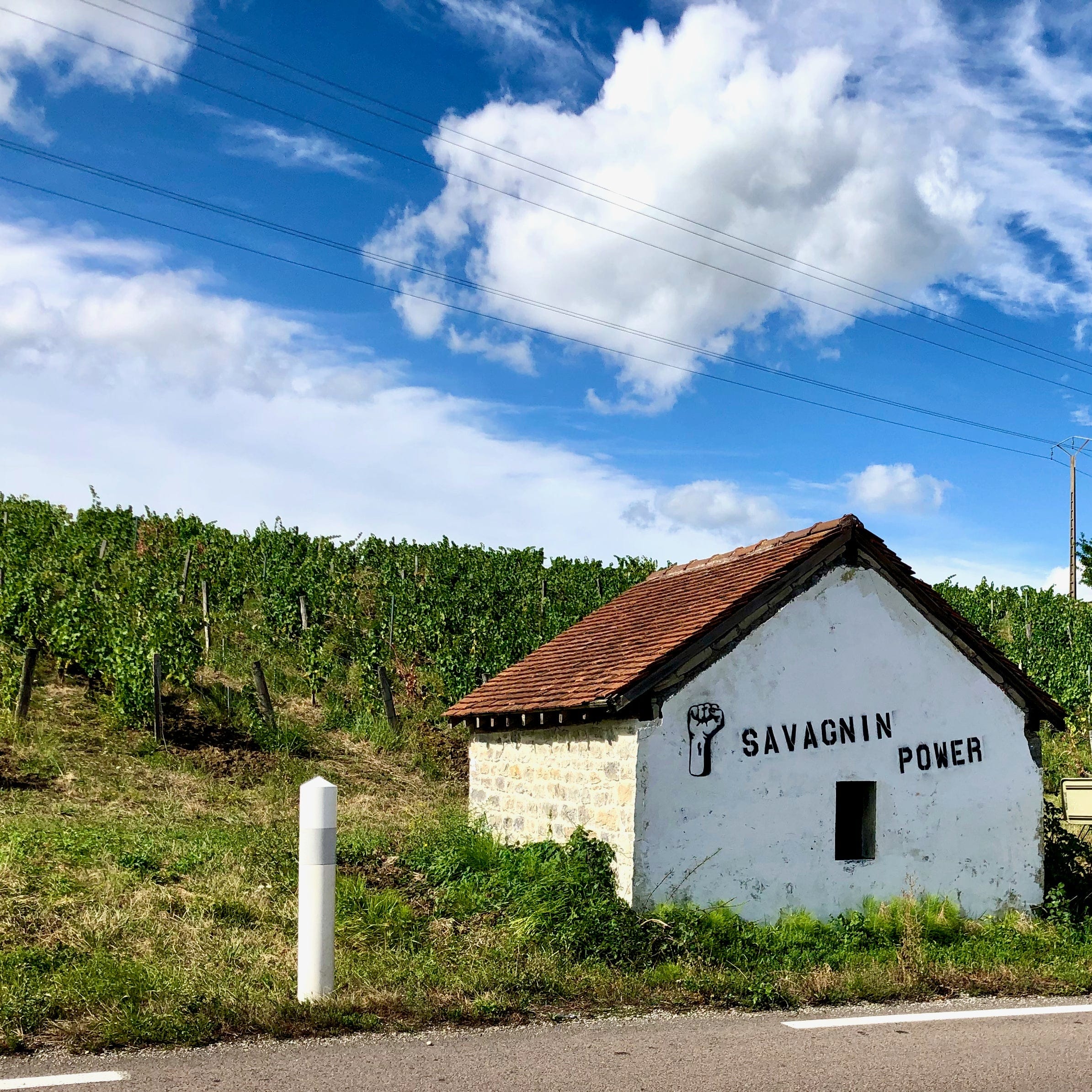  domaine villet - arbois - vin bio - vin nature - bib - cubi - let it bib - savagnin - chardonnay - 8 