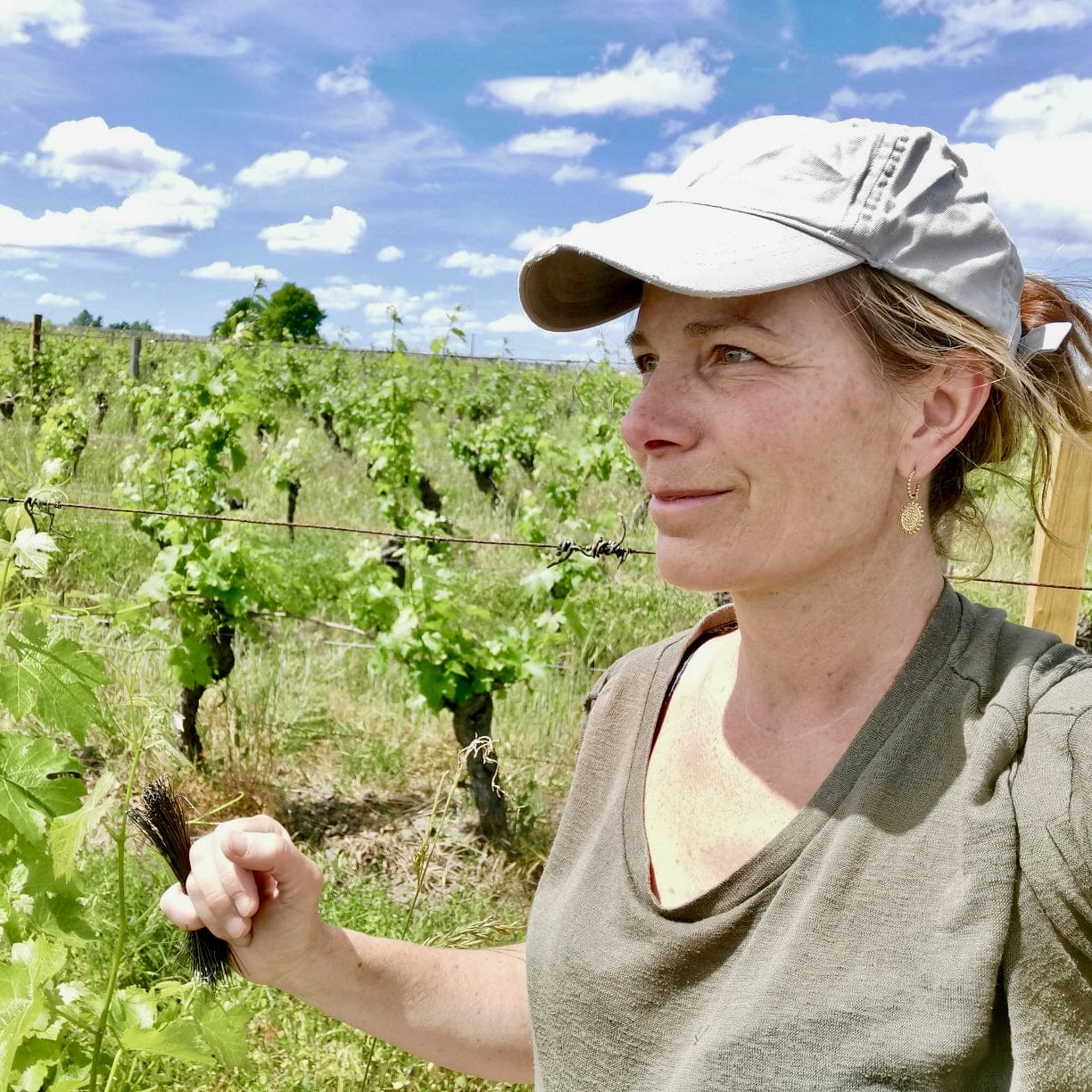 Le Baiser de la Loire 2022 (AOC Bourgueil)