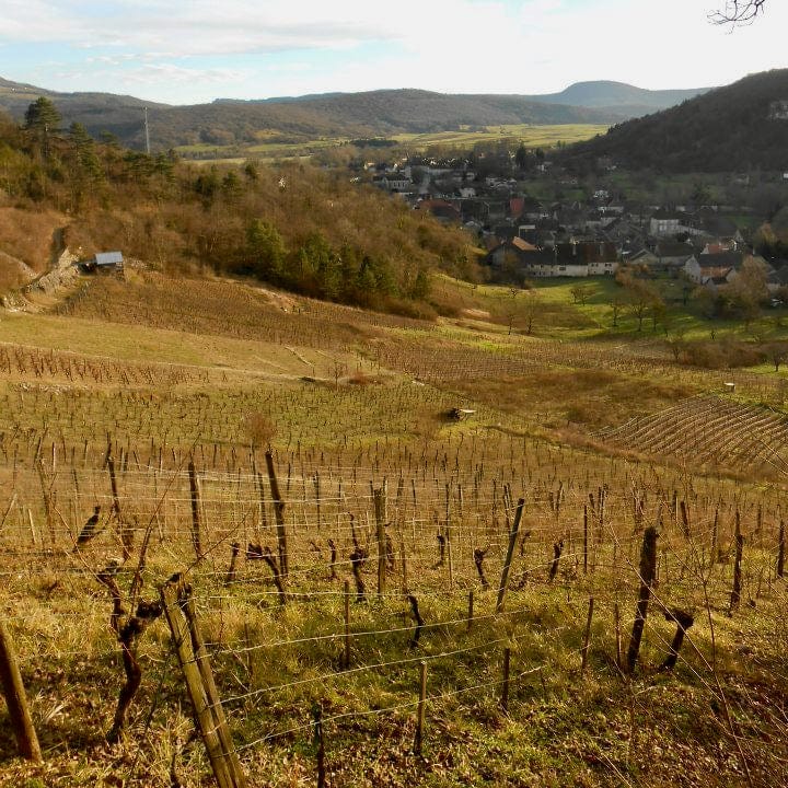 La Brute (pinot noir) 2023 (Vin de France)