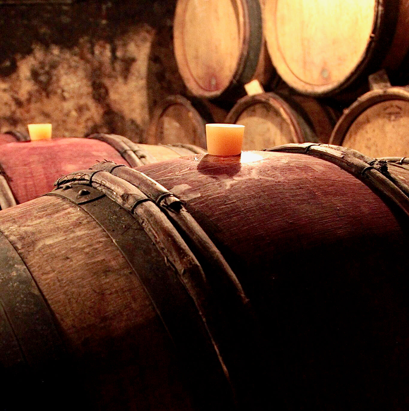 Raisins gaulois 2025 (Vin de France)
