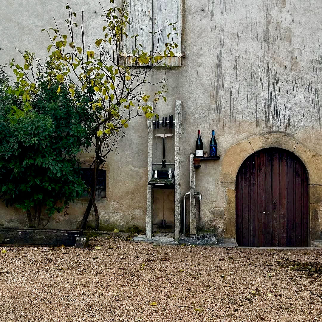 Raisins gaulois 2025 (Vin de France)