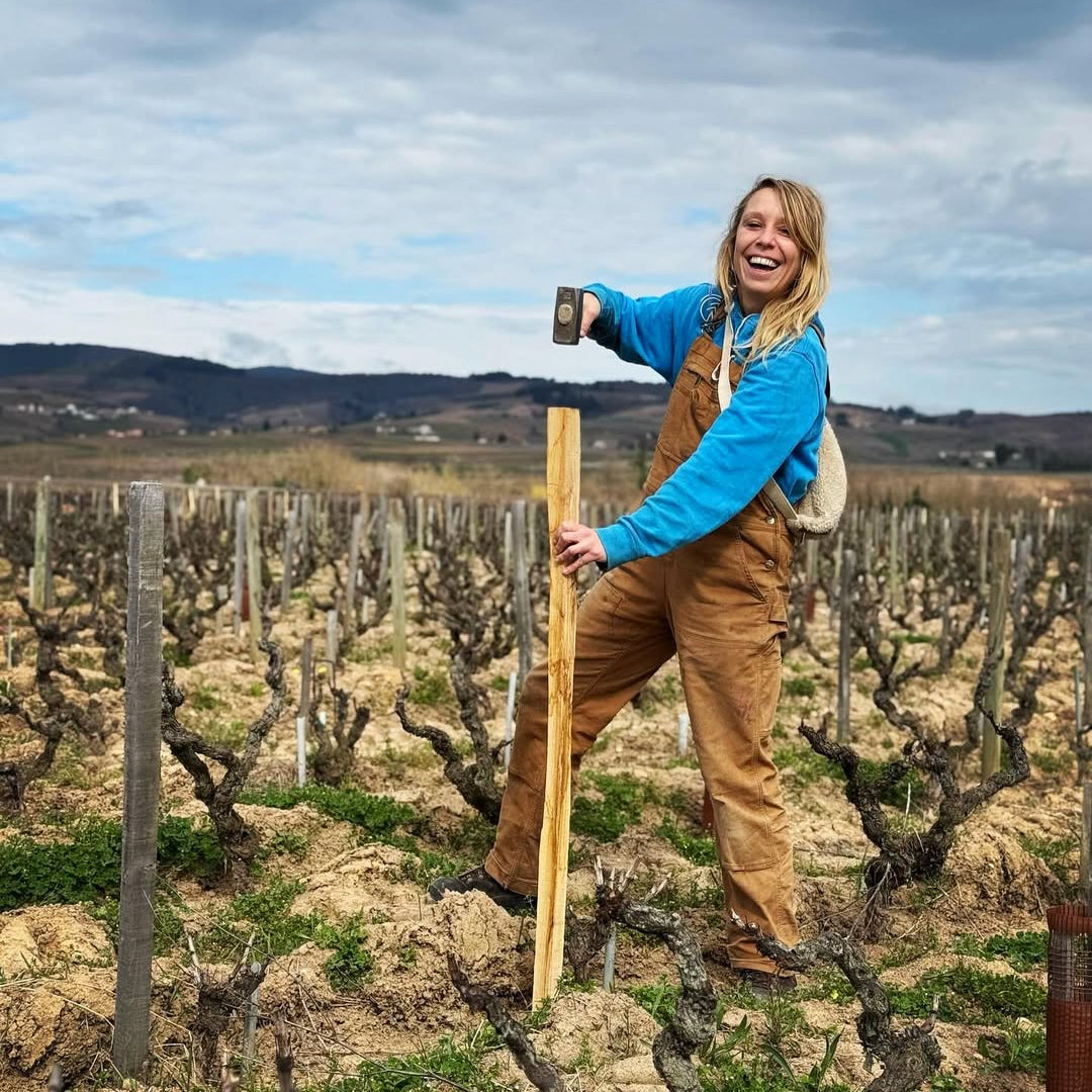 Raisins gaulois 2025 (Vin de France)