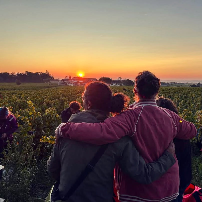 Raisins gaulois 2025 (Vin de France)