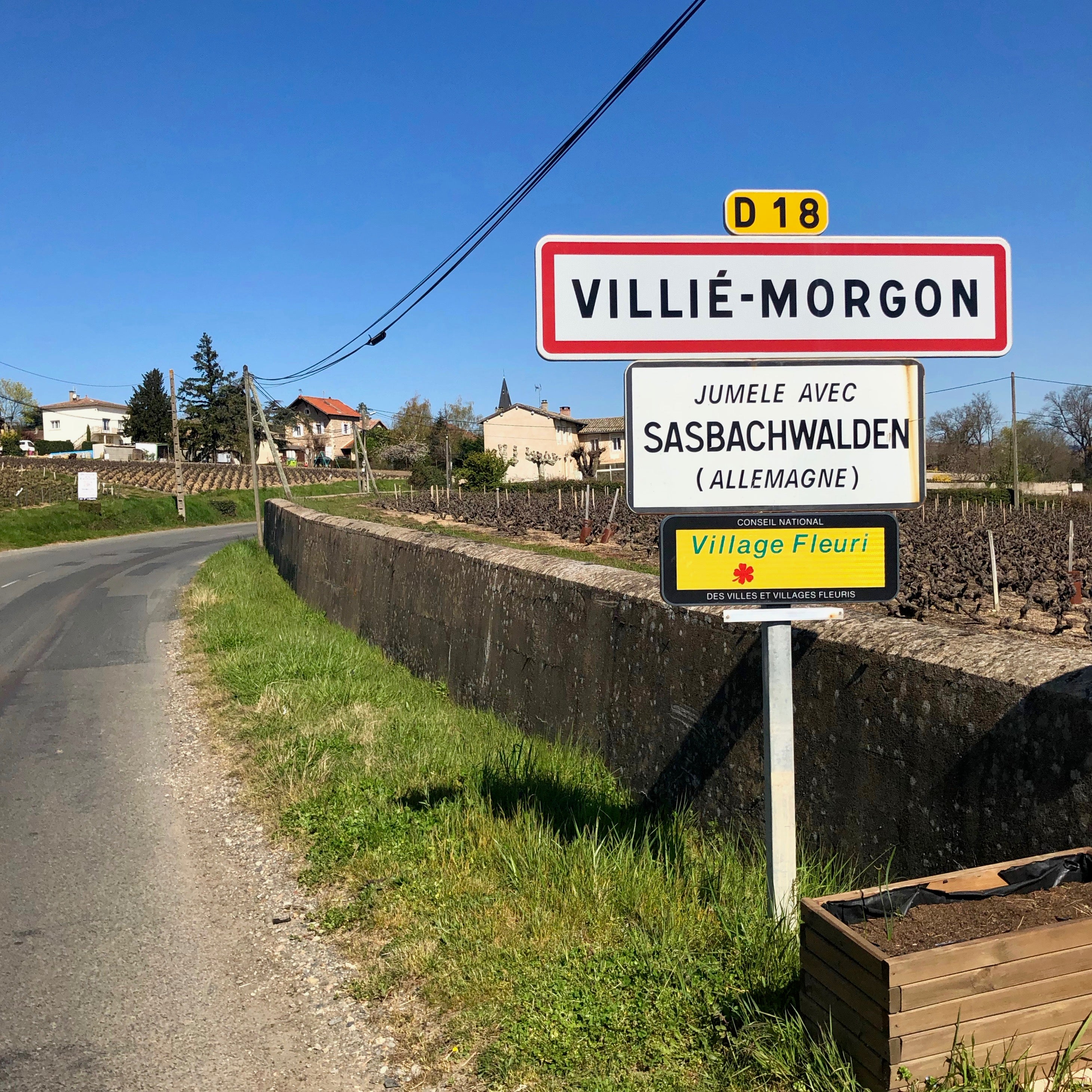 Raisins gaulois 2025 (Vin de France)