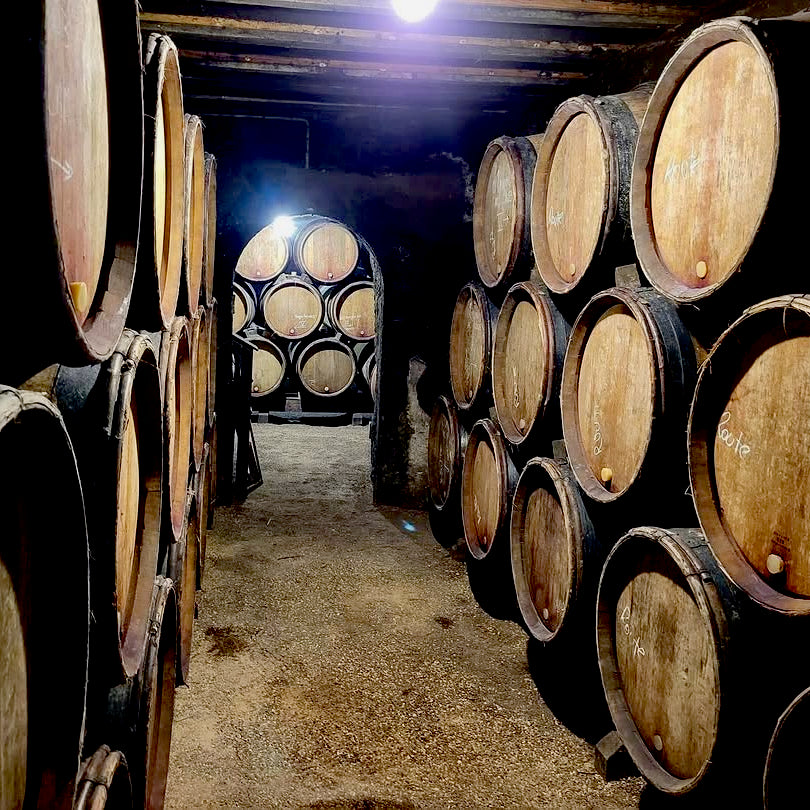 Raisins gaulois 2025 (Vin de France)