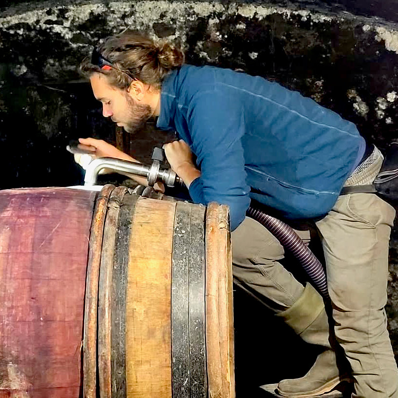 Raisins gaulois 2025 (Vin de France)