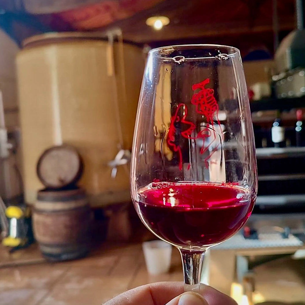 Raisins gaulois 2025 (Vin de France)