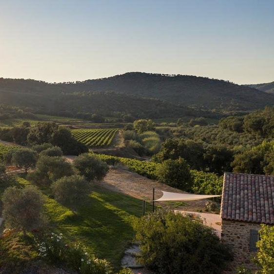 Côtes de Provence 2025 (AOC)
