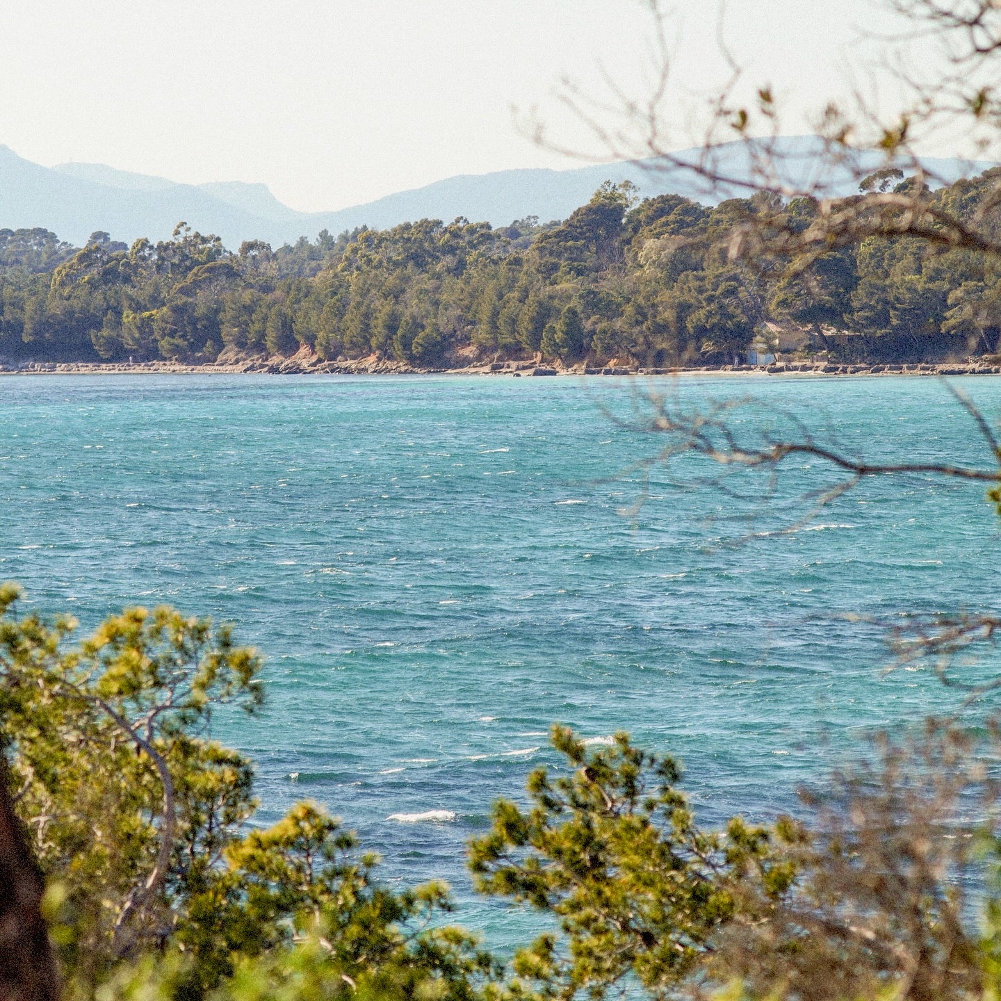 Côtes de Provence 2025 (AOC)