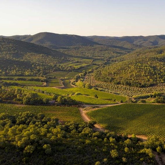 Côtes de Provence 2025 (AOC)