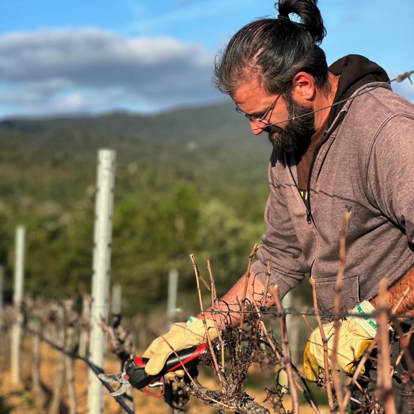 Côtes de Provence 2025 (AOC)