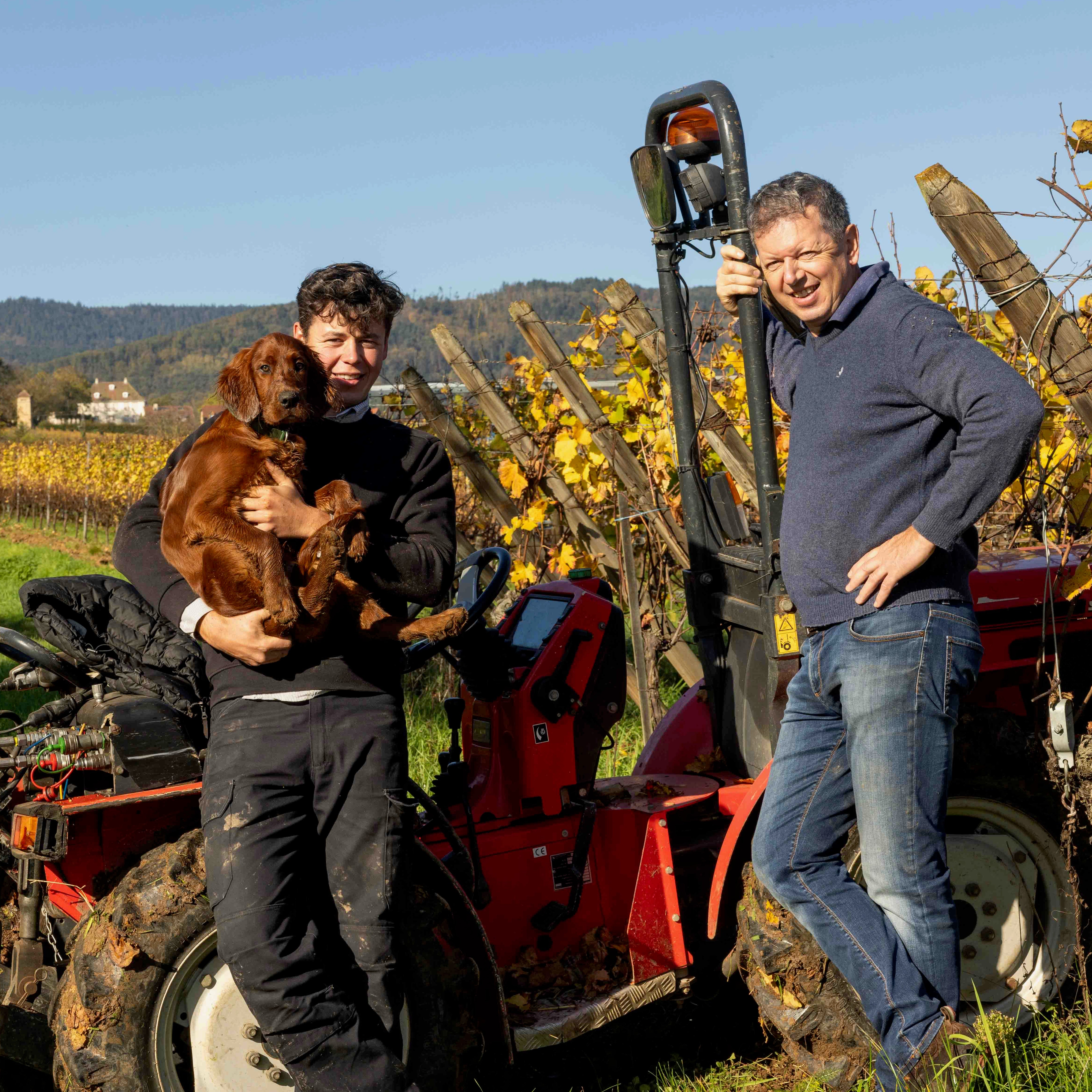 Rubis 2024 (Vin de France)