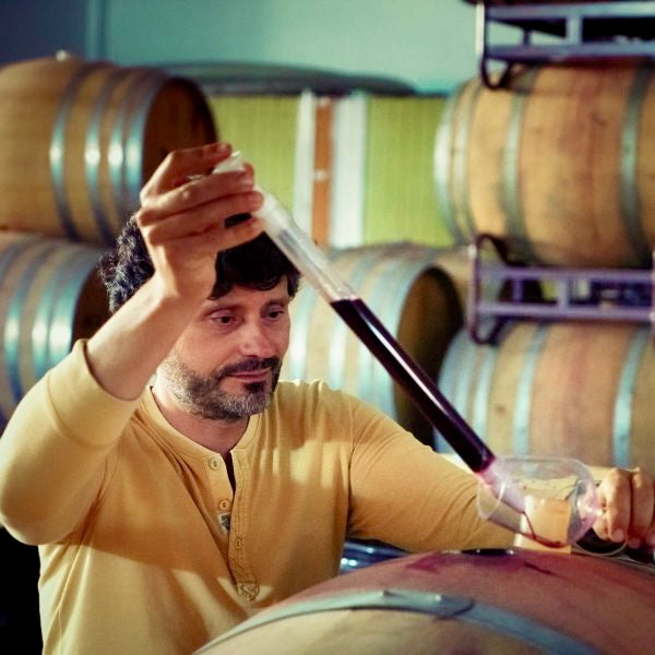 UIVO tinto 2023 (Douro/Portugal)