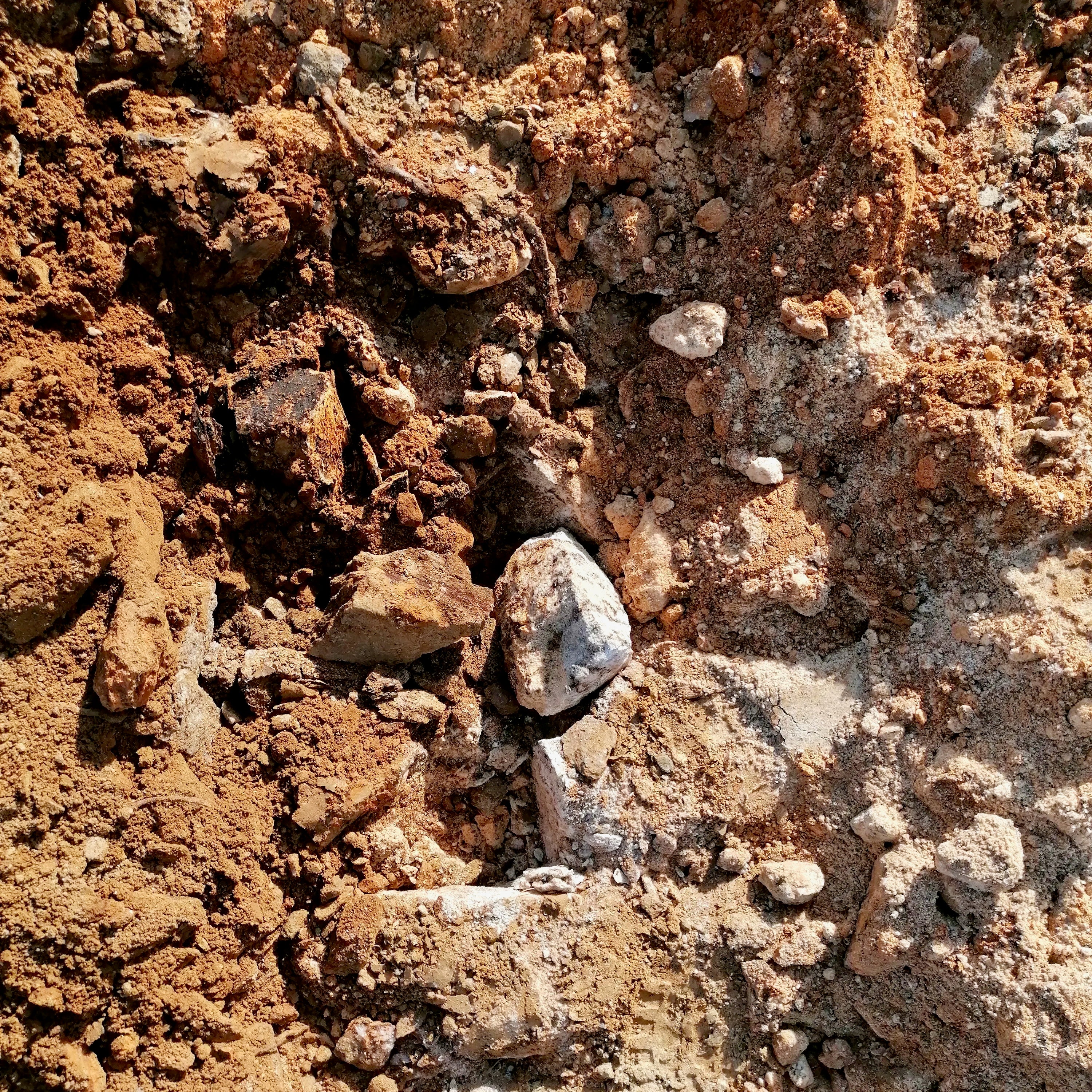 UIVO tinto 2023 (Douro/Portugal)