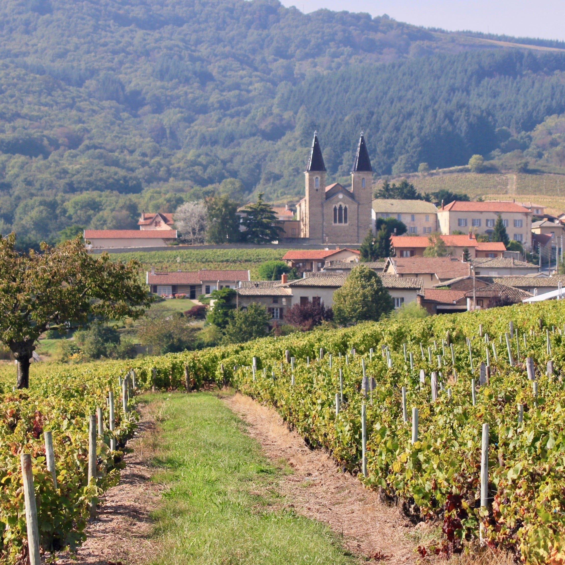  karim vionnet - beaujolais-villages - bib bio - vin nature - cubi bio - morgon - 3 et 5 litres 1 