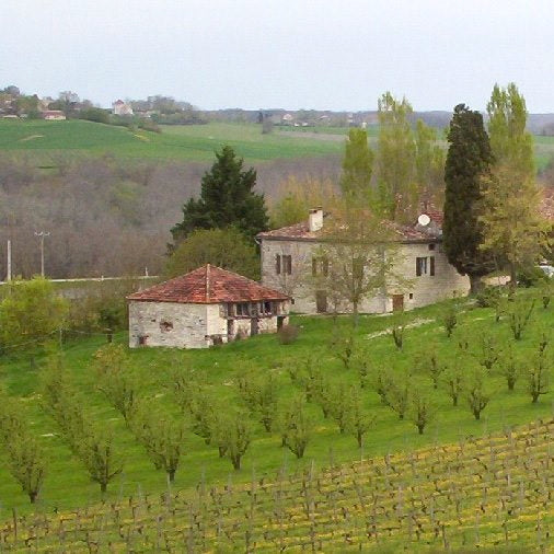 Tannat 2024 (Vin de France)