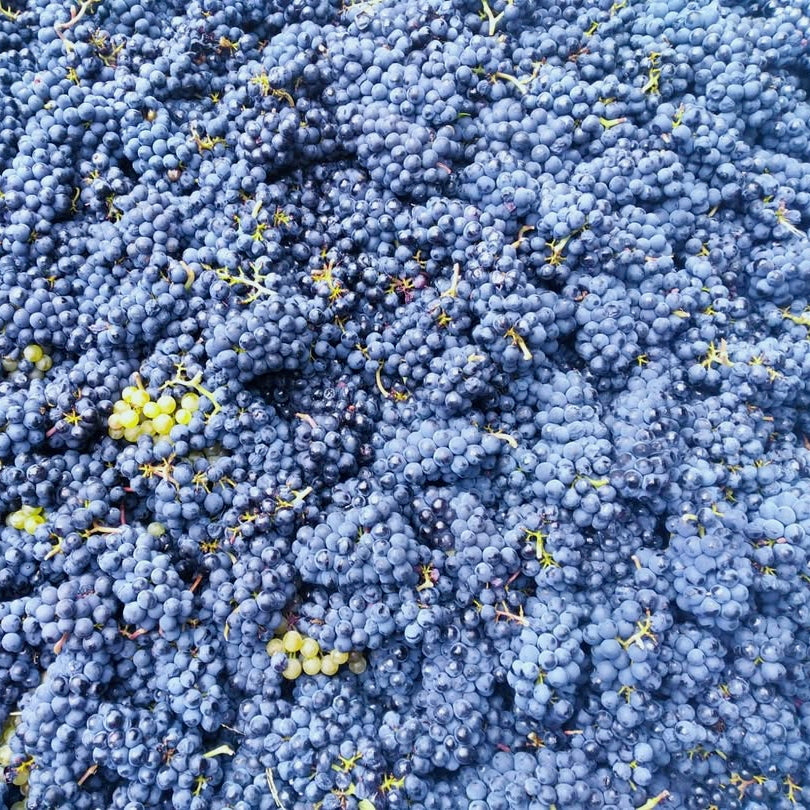 La Petite Niña (Vin de France)