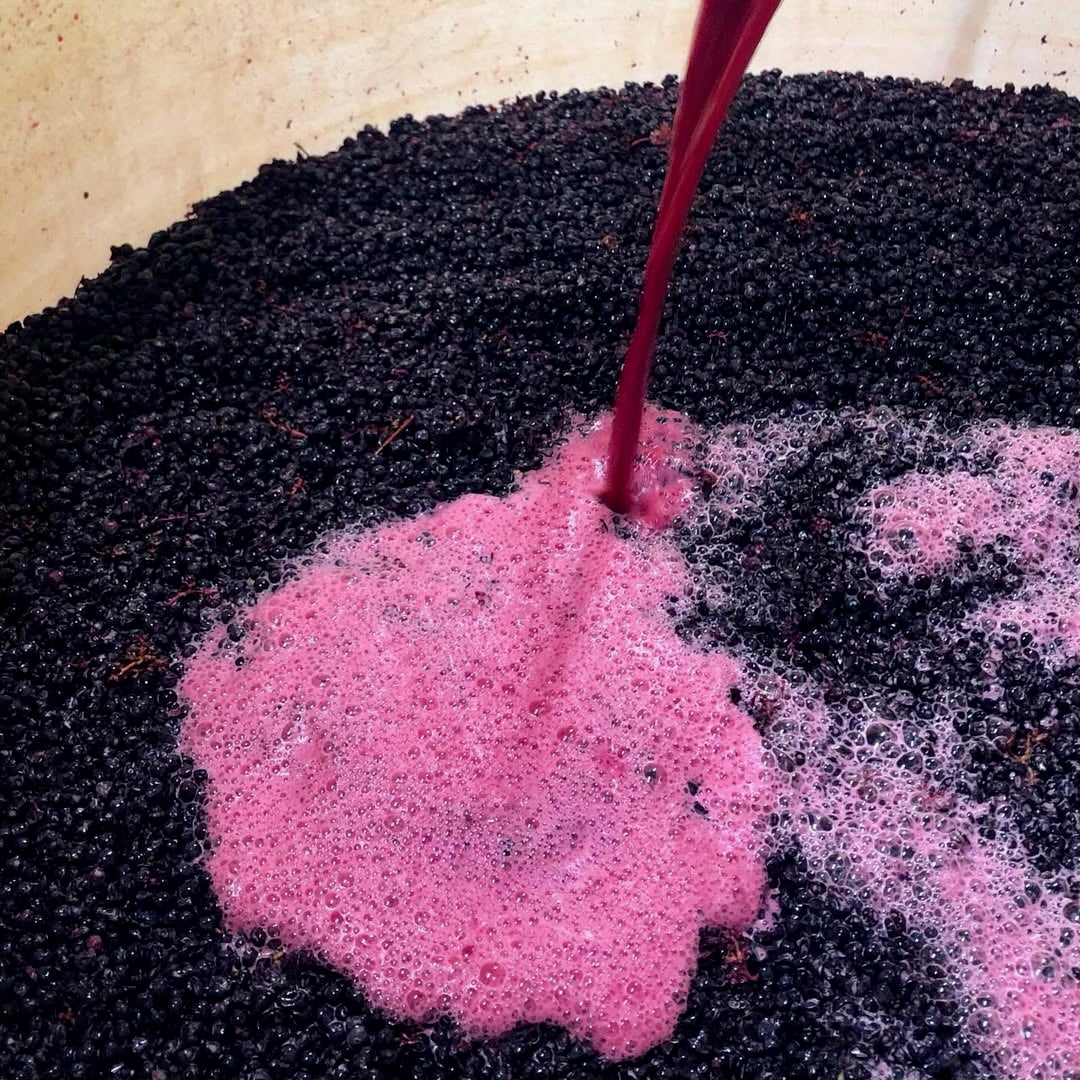 La Petite Niña (Vin de France)