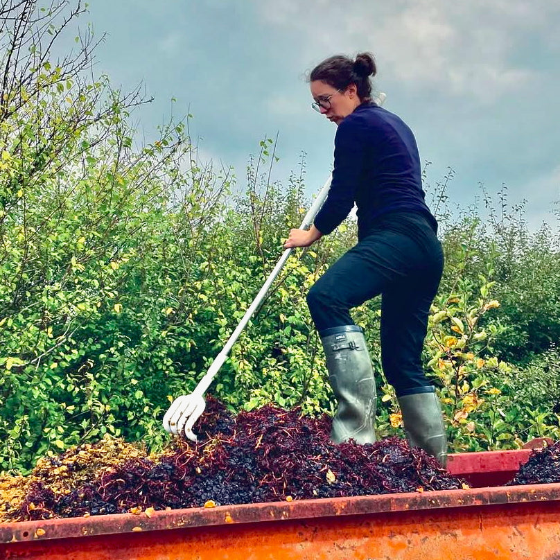La Petite Niña (Vin de France)