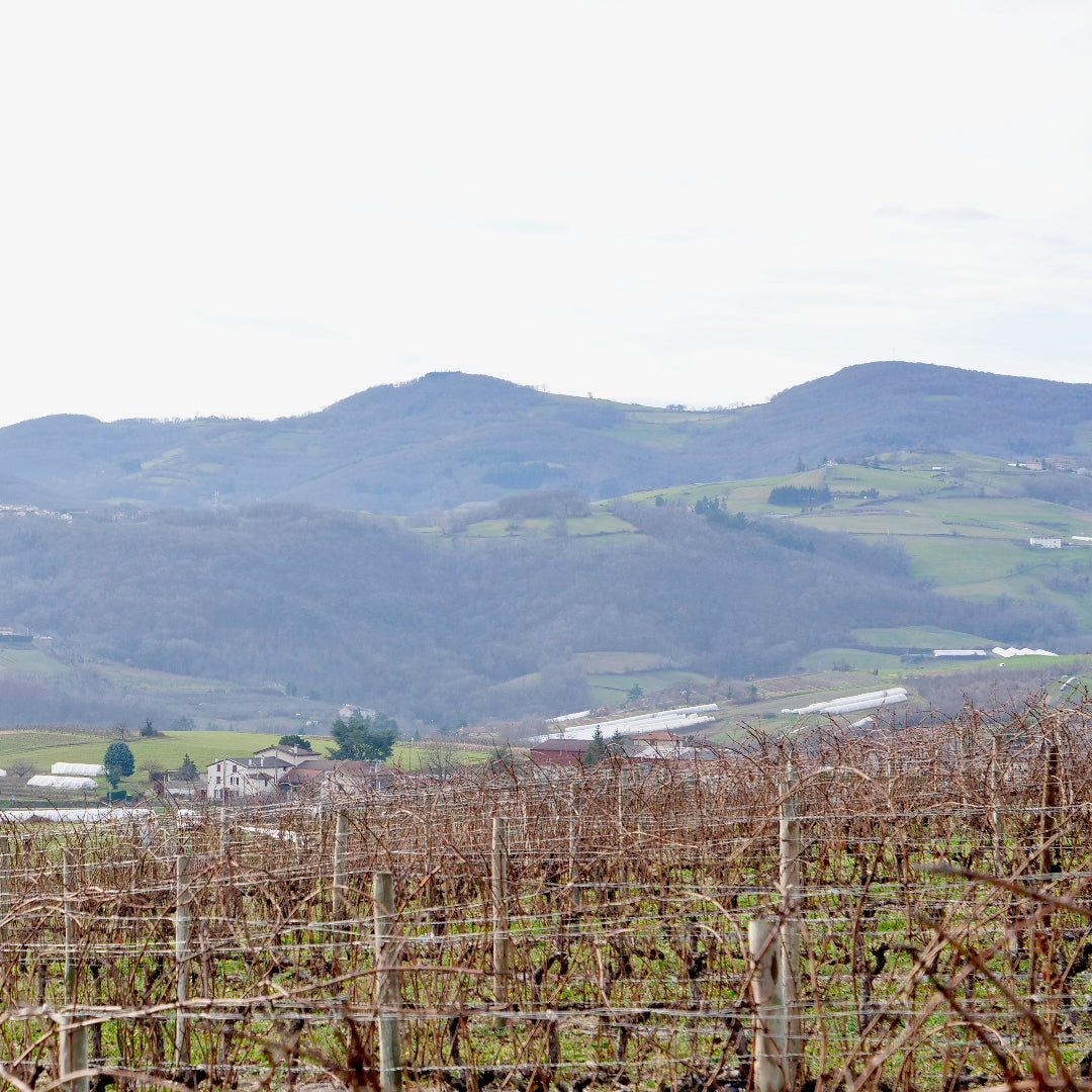 Dernier Cru 2023 (Vin de France)