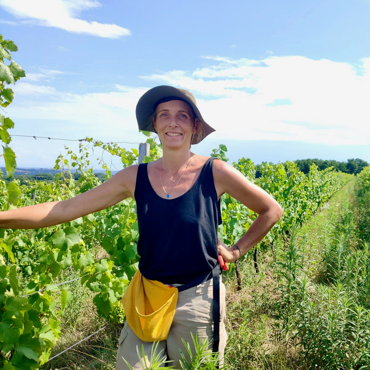 Dernier Cru 2023 (Vin de France)