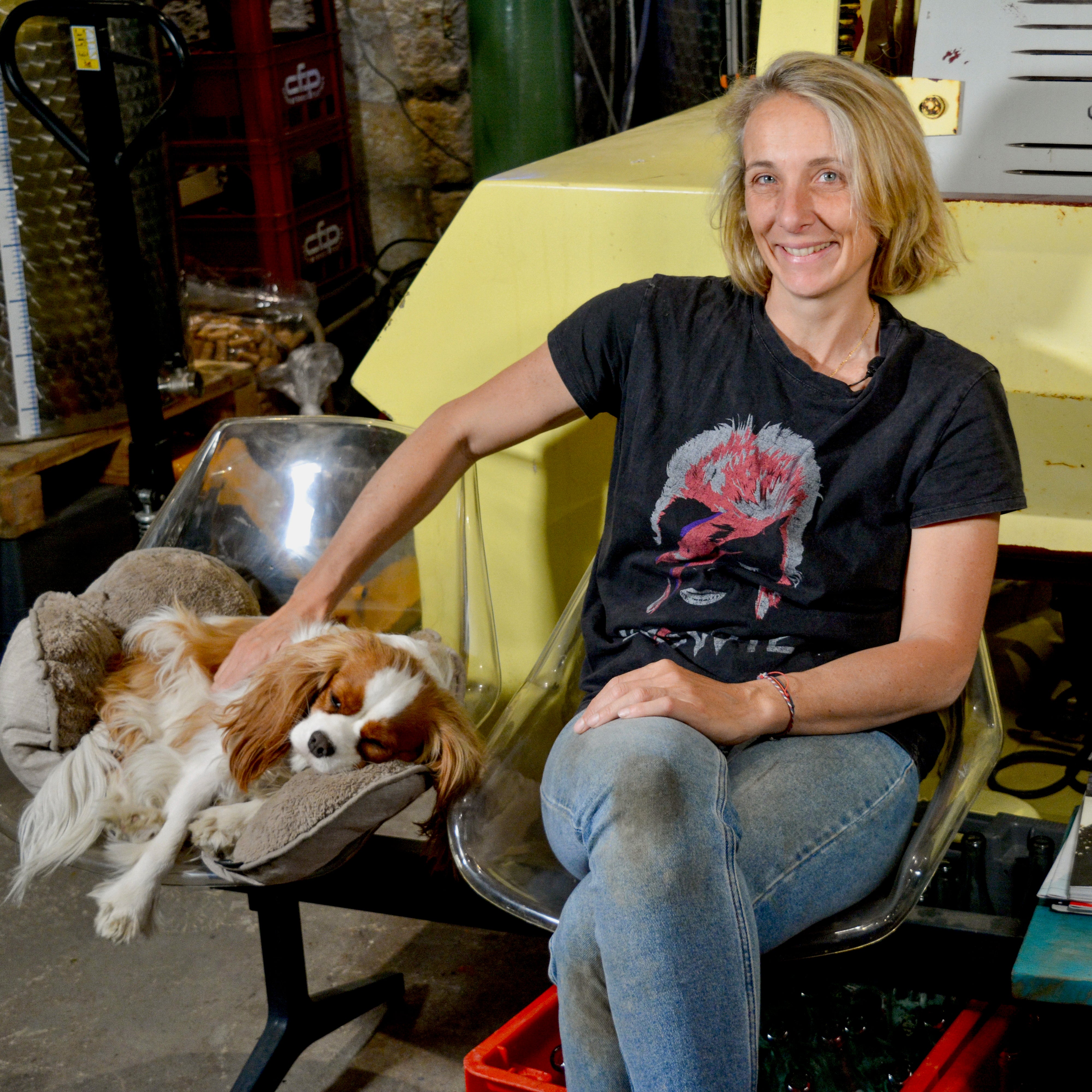 Dernier Cru 2023 (Vin de France)