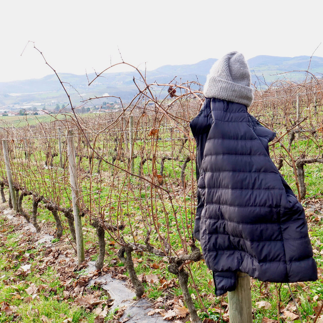 Dernier Cru 2023 (Vin de France)