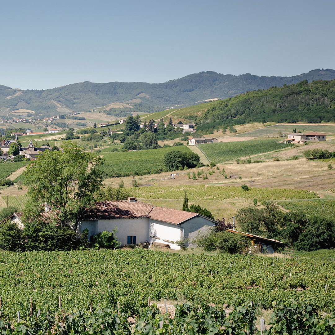 Prémices 2025 (AOC Beaujolais Villages)