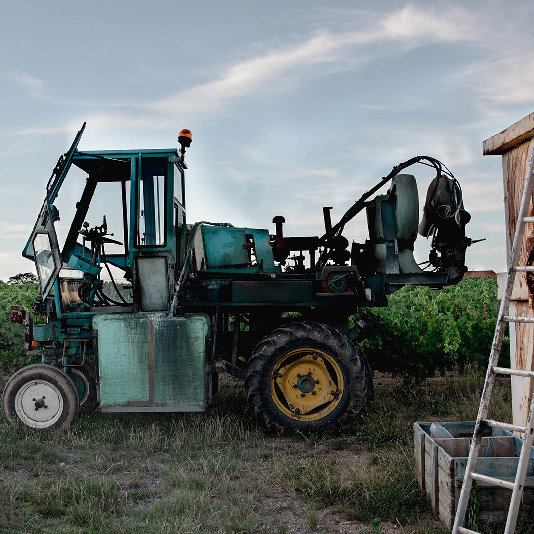 Prémices 2025 (AOC Beaujolais Villages)