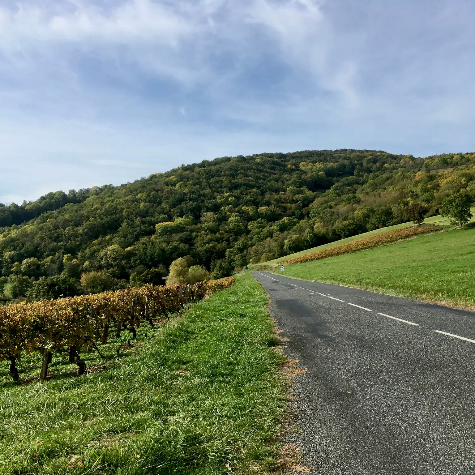 Prémices 2025 (AOC Beaujolais Villages)
