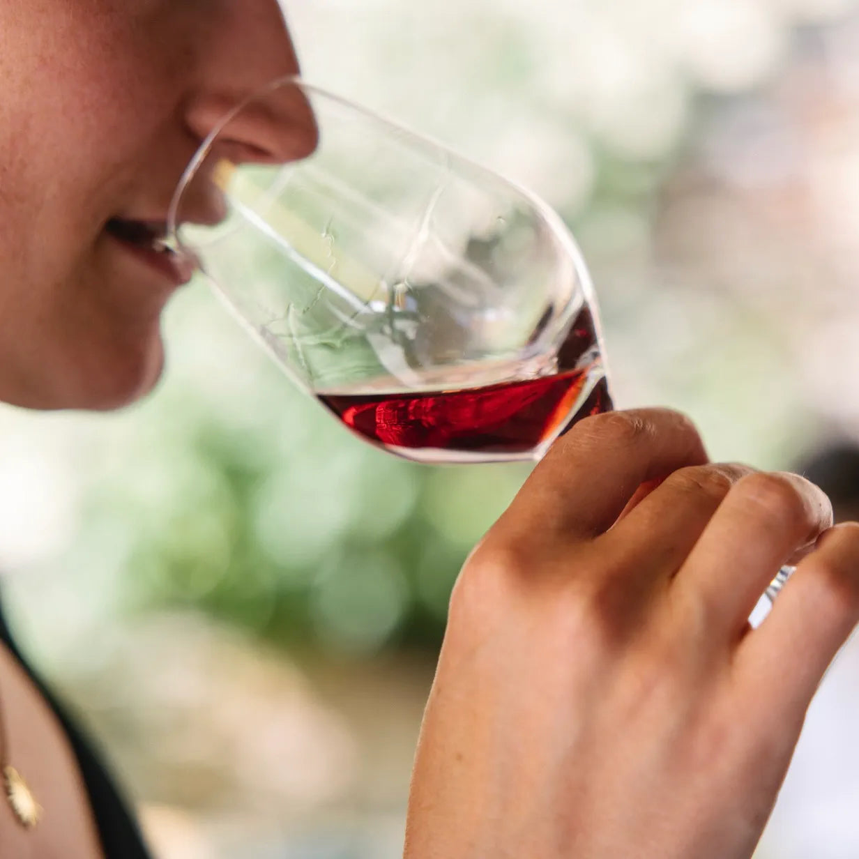 Prémices 2025 (AOC Beaujolais Villages)