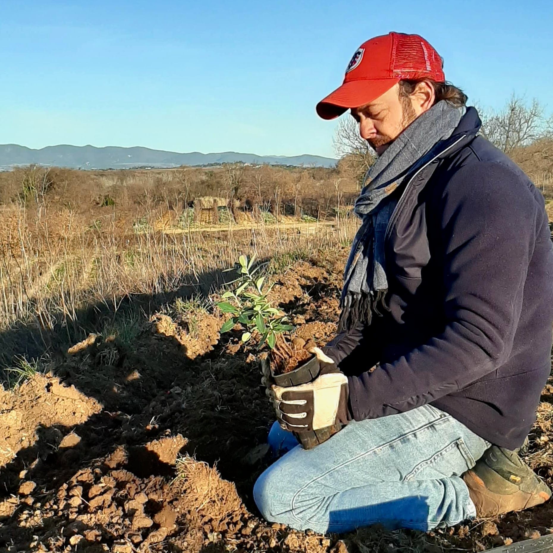  les chemins de bassac - èrsa RoÌ€sa - univers parallèle - languedoc - let it bib - cubi bio - bib bio - biodynamie - vin nature - bib vin nature - cubi vin nature - 4 