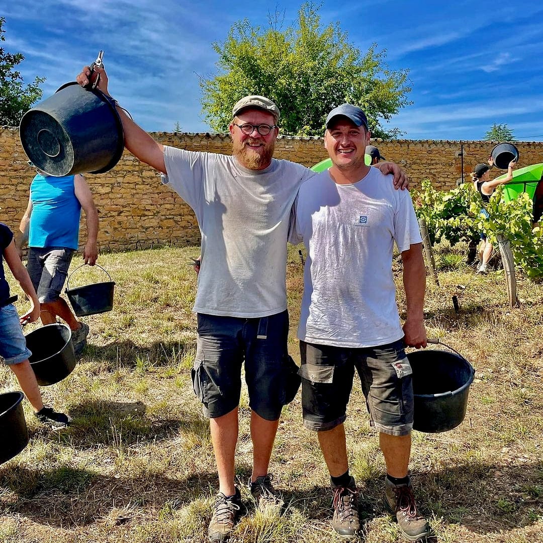  les souriants - Maxime Troncy - Damien Polosse - bourgogne - sourire en blanc - chardonnay - let it bib - bib bio - cubi bio - cubi vin nature - bib vin nature - 5 