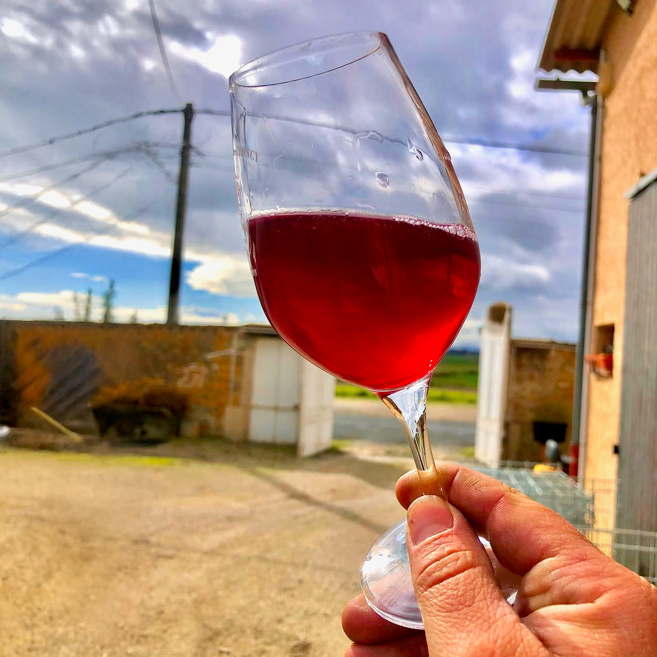 Smile 2024 (Vin de France)