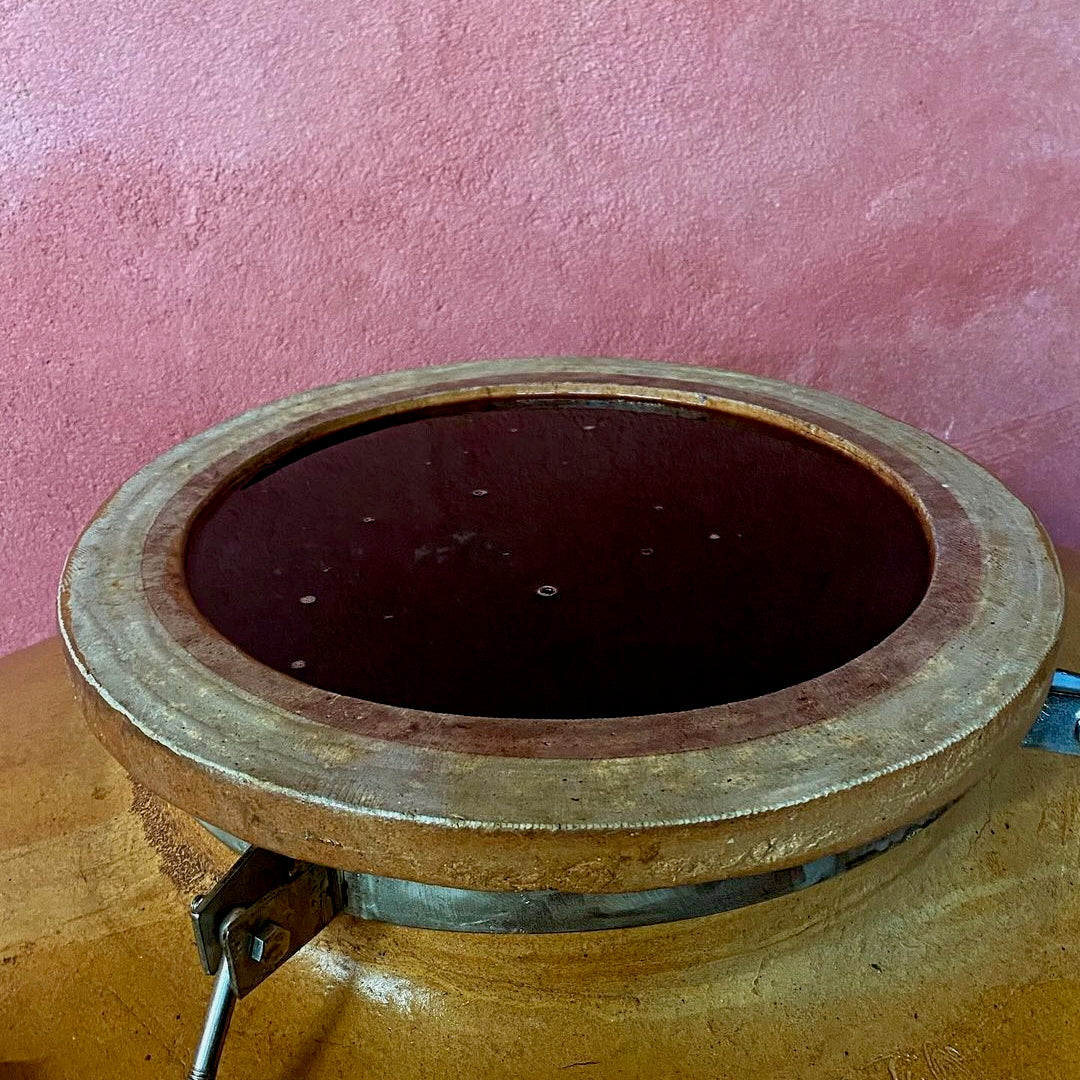 Fol Allier 2023 (Vin de France)