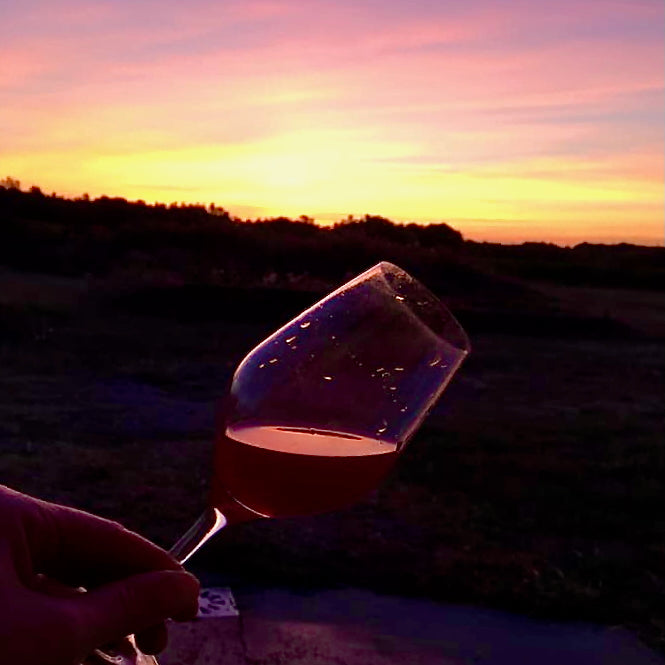 Fol Allier 2023 (Vin de France)