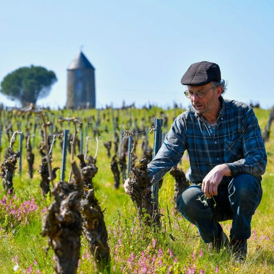 Je t'aime mais j'ai soif... 2024 (Vin de France)