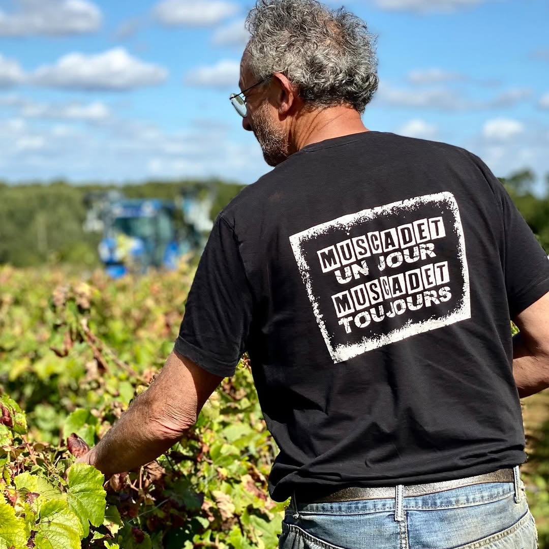 Je t'aime mais j'ai soif... 2024 (Vin de France)