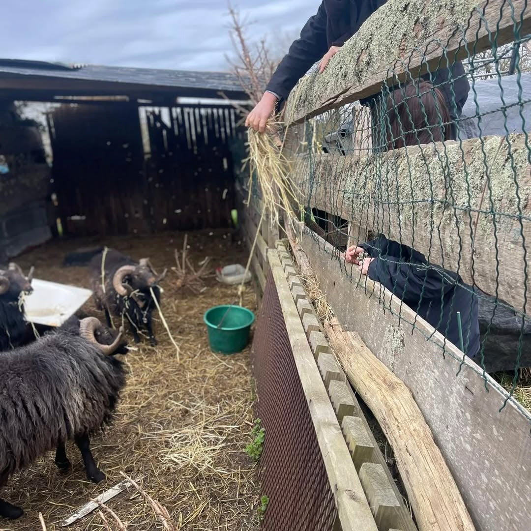 Je t'aime mais j'ai soif... 2024 (Vin de France)