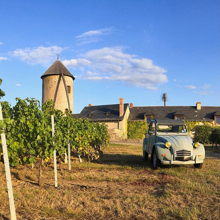 Cuvée S 2024 (AOC Crozes-Hermitage)